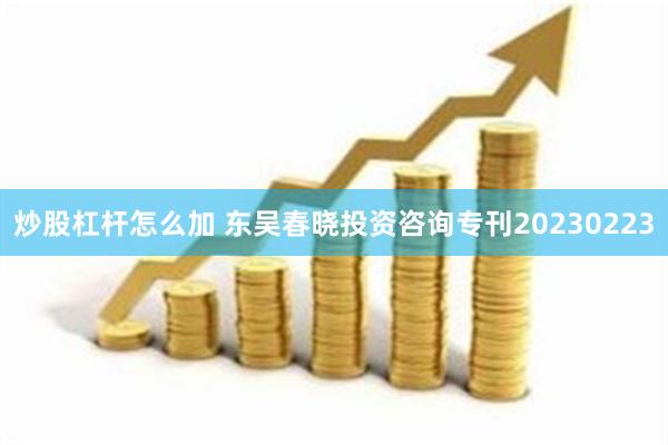 炒股杠杆怎么加 东吴春晓投资咨询专刊20230223