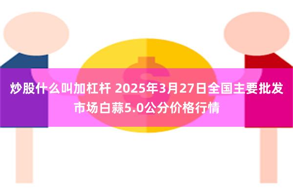 炒股什么叫加杠杆 2025年3月27日全国主要批发市场白蒜5.0公分价格行情