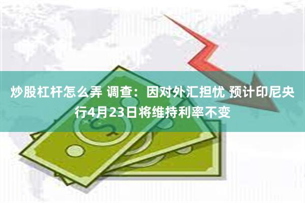 炒股杠杆怎么弄 调查：因对外汇担忧 预计印尼央行4月23日将维持利率不变