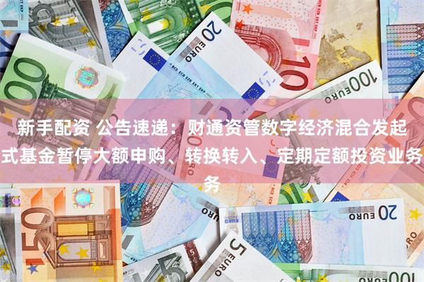 新手配资 公告速递：财通资管数字经济混合发起式基金暂停大额申购、转换转入、定期定额投资业务