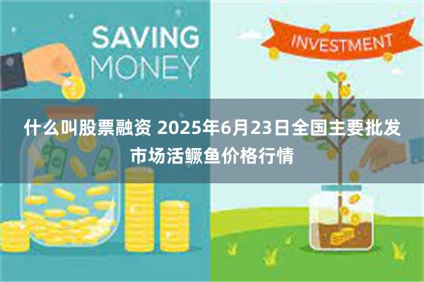 什么叫股票融资 2025年6月23日全国主要批发市场活鳜鱼价格行情