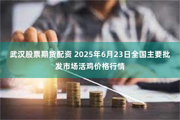 武汉股票期货配资 2025年6月23日全国主要批发市场活鸡价格行情